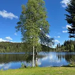 Bergoase-apart Am Feldberg (Baden-Wurttemberg)