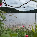 Daire Bergoase-apart Am Feldberg (Baden-Wurttemberg)
