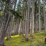Bergoase-apart Am * Feldberg (Baden-Wurttemberg)
