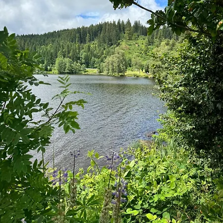Bergoase-apart Am * Feldberg (Baden-Wurttemberg)