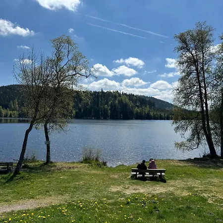 Bergoase-apart Am * Feldberg (Baden-Wurttemberg)