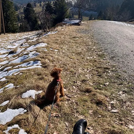 Bergoase-apart Am Apartamento