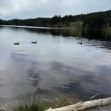 Bergoase-apart Am * Feldberg (Baden-Wurttemberg)