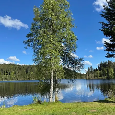 Bergoase-apart Am Feldberg (Baden-Wurttemberg)
