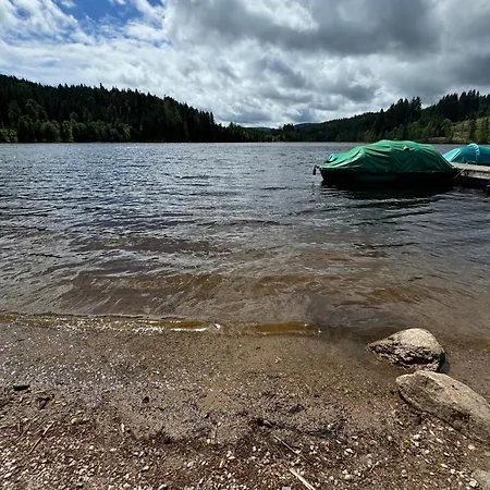 Bergoase-apart Am Feldberg (Baden-Wurttemberg)