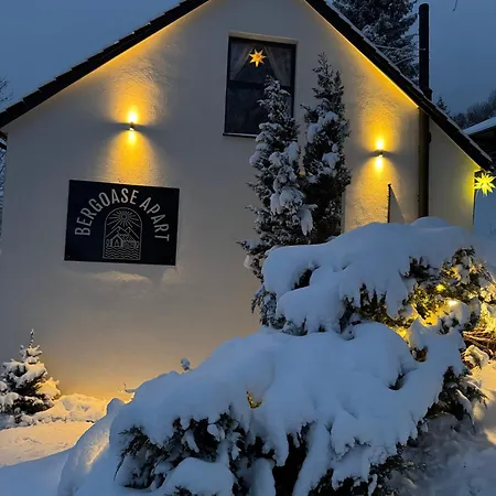 Bergoase-apart Am Feldberg (Baden-Wurttemberg)