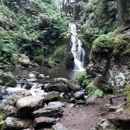 Bergoase-apart Am Apartmán Feldberg (Baden-Wurttemberg)