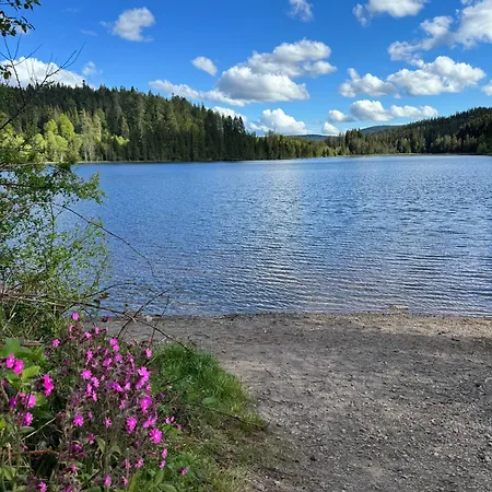 Bergoase-apart Am Apartmán Feldberg (Baden-Wurttemberg)