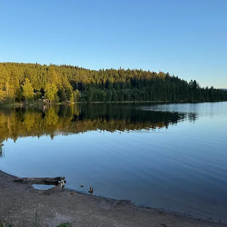 Διαμέρισμα Bergoase-apart Am Feldberg (Baden-Wurttemberg)