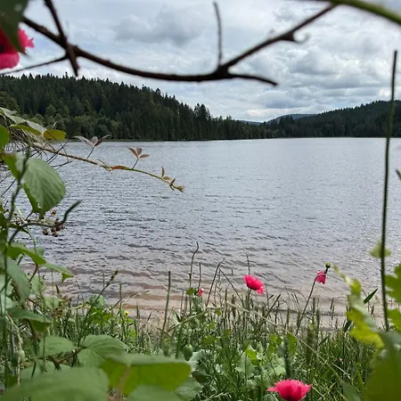 Apartmán Bergoase-apart Am Feldberg (Baden-Wurttemberg)