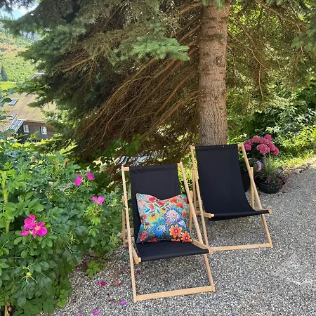 Bergoase-apart Am * Feldberg (Baden-Wurttemberg)