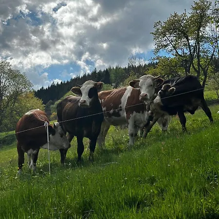 Bergoase-apart Am * Feldberg (Baden-Wurttemberg)