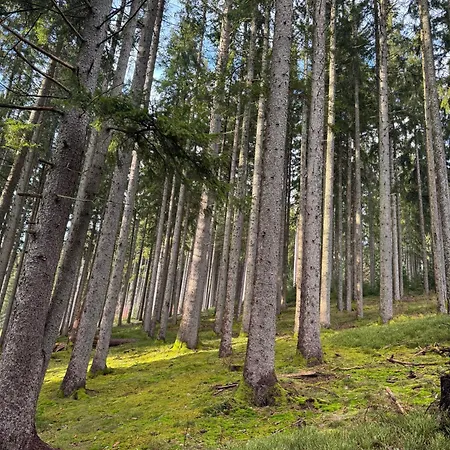 Bergoase-apart Am * Feldberg (Baden-Wurttemberg)